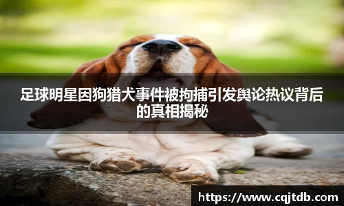 足球明星因狗猎犬事件被拘捕引发舆论热议背后的真相揭秘